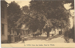 Sankt-Vith    *  Unter Den Linden - Sous Les Tilleuls - Saint-Vith - Sankt Vith