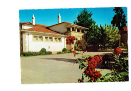 Cpm - Portugal - Macedo De Cavaleiros - 1295 - Jardin Bureau De Poste - - Bragança