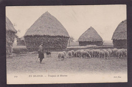 CPA Beauce Agriculture Métier écrite En Beauce N° 329 Moutons - Ile-de-France