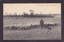 CPA Beauce Agriculture Métier Non Circulé En Beauce N° 293 Moutons - Ile-de-France