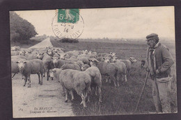 CPA Beauce Agriculture Métier Circulé En Beauce N° 564 Moutons - Ile-de-France