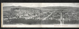 CPA Chili Panomara De Concepcion Carte Panoramique 3 Volets - Chili