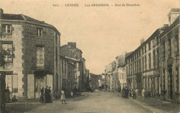 VENDEE  LES HERBIERS  Rue De Brandon - Les Herbiers