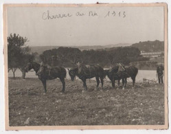 Photo Originale Domaine Du Pin Provence à Localiser Charrue 4 Chevaux - Culture