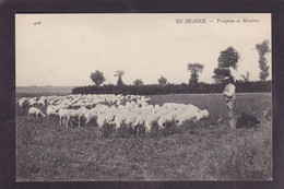CPA Beauce Agriculture Métier Non Circulé En Beauce N° 406 Moutons - Ile-de-France