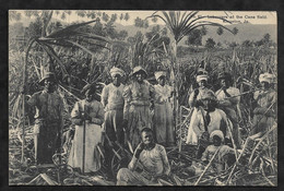 CPA Jamaïque Kingston Labourers At The Cane Field - Giamaica