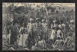 CPA Jamaïque Kingston Labourers At The Cane Field - Jamaïque