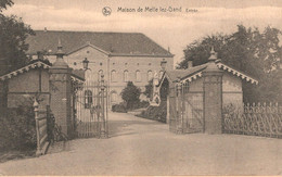 Delcampe - Melle , Ingang,   Gelopen - Melle