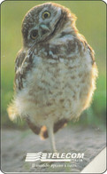 Italien  Phonecard  Owl Eule - Bird - Owls