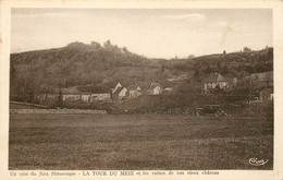 LA TOUR DU MEIX ET LES RUINES DE SON VIEUX CHATEAU - Autres & Non Classés