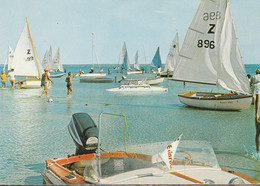 Delcampe - N°6567 R -cpsm Biscarosse -préparation Aux Régates- - Segeln