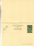 Ruanda Urundi - Carte Postale Avec Réponse Payée De 1951 - Entier Postal - Palmiers - Entiers Postaux