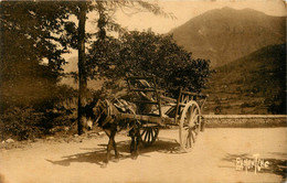 Eaux Bonnes * Sur La Route De Laruns * Charette - Eaux Bonnes