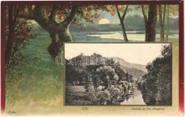 ** T2/T3 Celje, Cilli; Stadtpark. Verlag Von Fritz Rausch / Park. Art Nouveau, Forest Litho. "Sempronia-Antinicotin Sziv - Unclassified