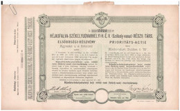 Székelyudvarhely 1894. "Héjasfalva-Székelyudvarhelyi H.É.V. (Székely-vasút) Részvénytársaság" Elsőbbségi Részvénye 100Ft - Unclassified