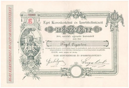 Eger 1895. "Egri Kereskedelmi és Iparhitelintézeti Részvény" Névre Szóló Részvény 100K-ról, Szelvényekkel, Szárazpecsétt - Unclassified