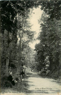 Dinard * La Vicomté * Un Des Chemins Conduisant à La Rance - Dinard