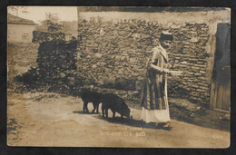 CPA Macédoine Macedonian Types Turk And His Pets Carte Photo - North Macedonia