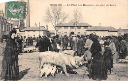 Moulins          03         Le Plan Des Bouchers .  Marché Aux Porcs .Une Truie Et Ses Petits     (voir Scan) - Moulins