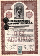 Negociacion Minera De San Rafael Y Anexas S.A.- Titre De 10 Actions De 0.50 $ - Mexico 1923 - Mines