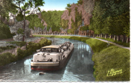 BAGNEAUX SUR LOING  LE CANAL SUR LE LOING - Bagneaux Sur Loing