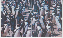 BIRD PINGUIN 20 PUZZLES OF 80 CARDS - Pinguins