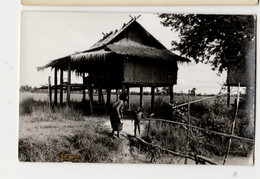 > Laos-carte Photo HABITATION LACONIENNE -Animée-NON CIRCULEE - Laos