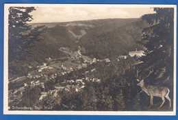 Deutschland; Schwarzburg I Thür; Panorama - Rudolstadt