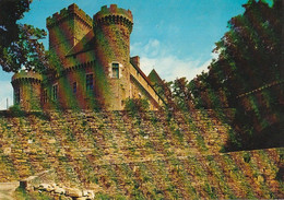 Château De CASTELNAU ( 2è Forteresse De France). CPM - Autres & Non Classés