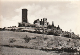 SAINT-CERE. - Résidence De Maître Jean Lurçat. Château De St Laurent. Cliché Pas Courant - Other & Unclassified