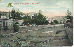 SPAIN - LAS PALMAS - BARANCO DE GININGUADO - La Palma