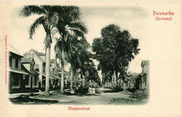 PC CPA PC CPA SURINAME PARAMARIBO, MAAGDENSTRAAT, VINTAGE POSTCARD (b4753) - Surinam