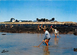 Damgan Kervoyal * La Pêche à La Crevette * Haveneau * Pêche à Pied - Damgan