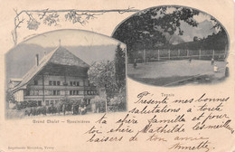 Grand Chalet Rossinières - Tennis - Deux Vues - Rossinière