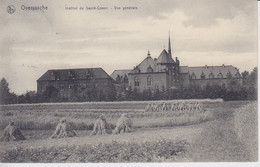 OVERISSCHE Institut Du Sacré-Coeur - Vue Générale. Cpa 1909 - Overijse