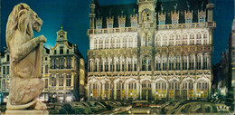 Belgien: BRÜSSEL - Beleuchtung "Das Königshaus" - Brussels By Night