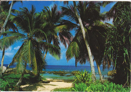 SEYCHELLES - MAHE - Seychellen