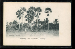 Dahomey Les Conqueres A Cococodji__(4579) - Dahomey