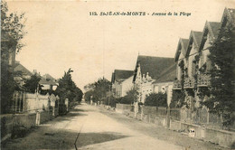 St Jean De Monts * Avenue De La Plage * Villas - Saint Jean De Monts