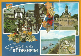 ( RUDESHEIM AM RHEIN )( ALLEMAGNE ) - Rheingau