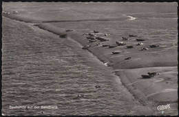 D-2 - Nordsee Seehunde Auf Der Sandbank - Cekade Luftbild - Norderney