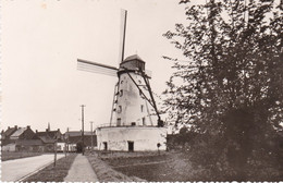 Zwevegem Stenen Molen, Moulin, Windmill (pk70651) - Zwevegem