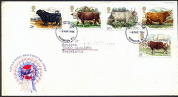 UK - BRITISH  CATTLE - 1984 - Farm