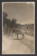 Egypt - Rare - Vintage Original Post Card - Egyptian Village - Lettres & Documents