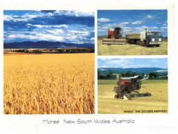 (S 11 A) Australia - NSW - Moree (wheat Farming) GEN S 653 - Cultivation