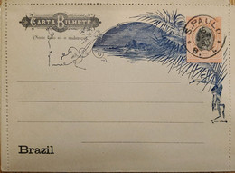 A) 1996, BRAZIL, POSTAL STATIONARY, SAO PAULO, STAMP LIBERTY - Storia Postale