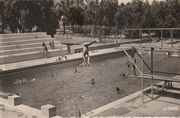 N°6754 -cpsm Ben Slimane (Maroc) -la Piscine- Plongeur- - Swimming