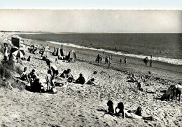 Ile De Noirmoutier * Barbatre * La Plage - Ile De Noirmoutier