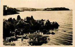 Douarnenez * Un Coin Charmant * Panorama - Douarnenez