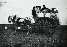 Attelage Champetre   Carriage Of Broom  Labour  Beauce Etampes - Attelages